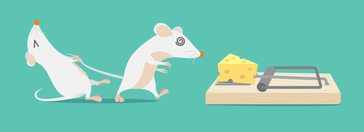 A mouse pulls another mouse away from a mousetrap